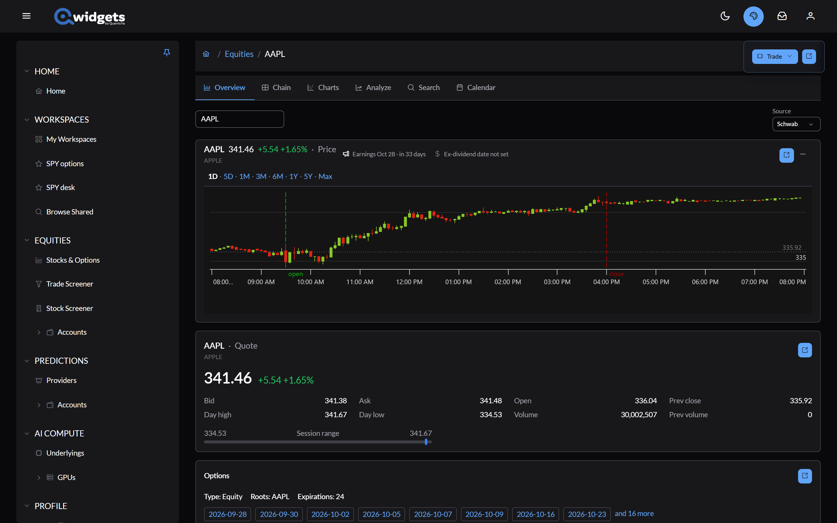 The Overview tab for a stock: the price panel with its chart and earnings and ex-dividend dates, the quote panel, and the Options panel listing expirations.